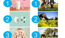 What communication engaged milk shoppers?